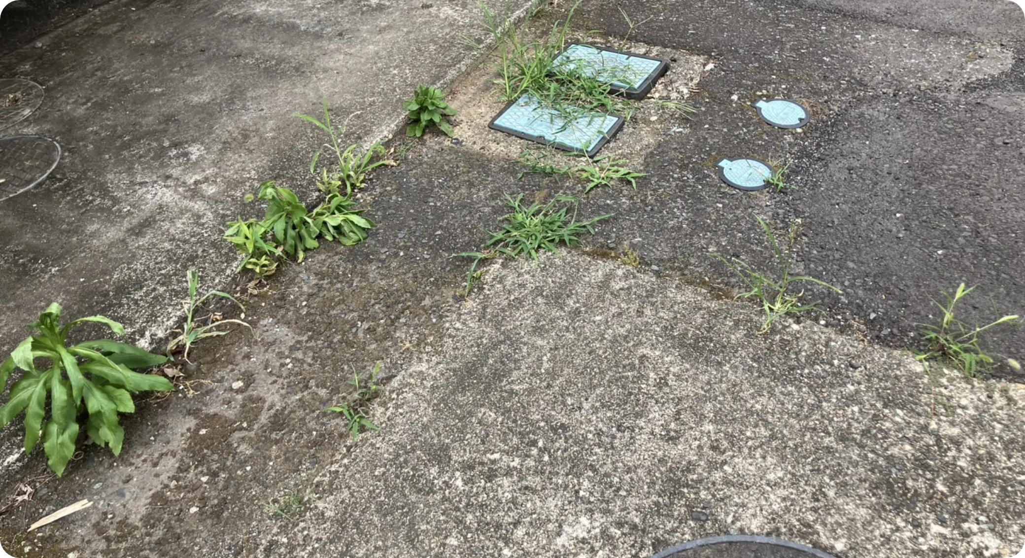作業内容4